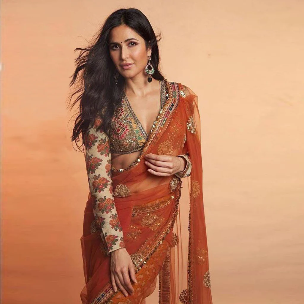 Owning Your Sunshine: A Guide to the Alluring Orange Saree